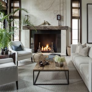 Chicago Design Gold Coast Home